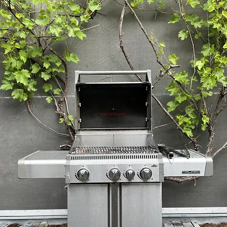 埃尔萨度假屋 因斯布鲁克